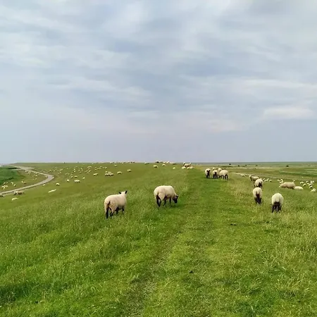 Witte Huus In * Hinte